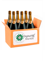 FERRARI PERLE' TRENTO DOC CL75 Confezione da 6 Bottiglie